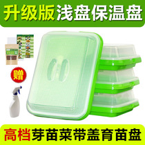 Large dense grid with lid vegetable basin sprouts hydroponic tray bean sprouts nursery plate vegetable planting plate