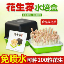 New peanut bud planting box peanut nursery box hydroponic box bean seedling planting plate nursery disc germination artifact home