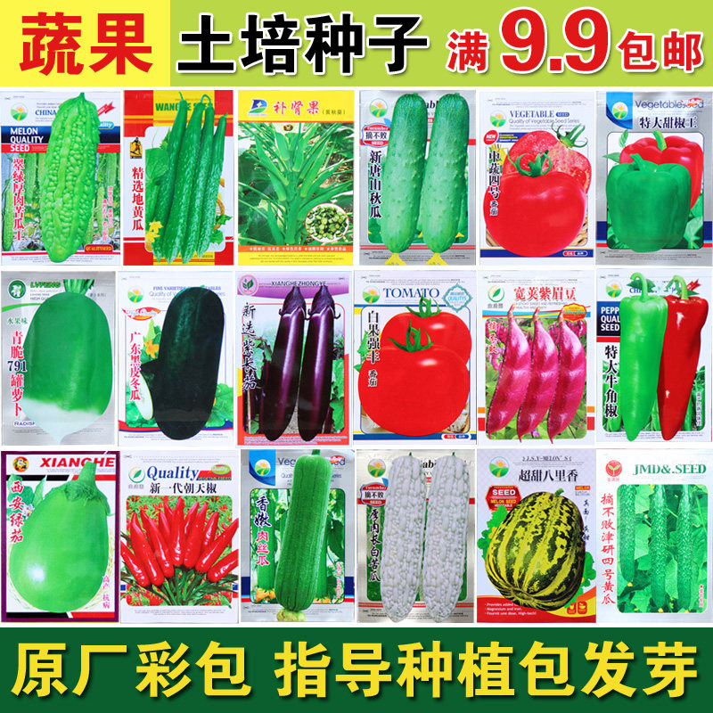 Discount and low price four seasons vegetable seeds Mint pepper tomato cucumber Cherry radish Tomato loofah farmer
