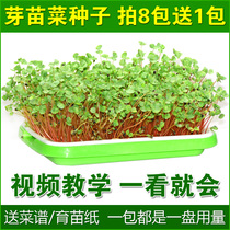 Hot-selling sprouts seeds hydroponic vegetables soilless cultivation sprouts seeds wheat radish pine Willow bowl beans water spinach