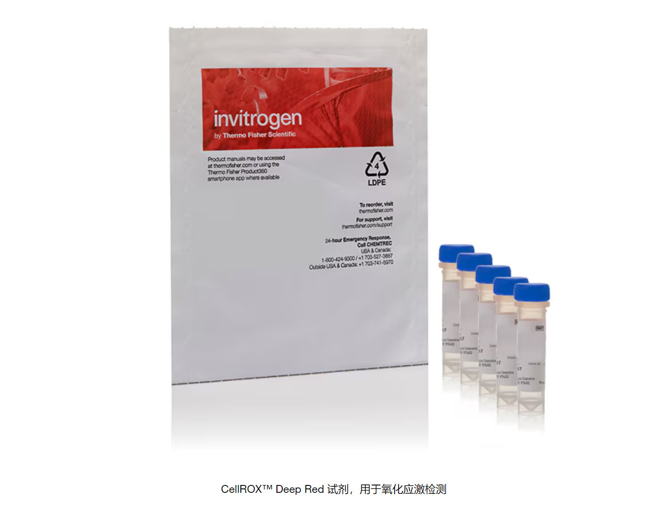 C10422，CellROX Deep Red，细胞氧化应激检测，50ul
