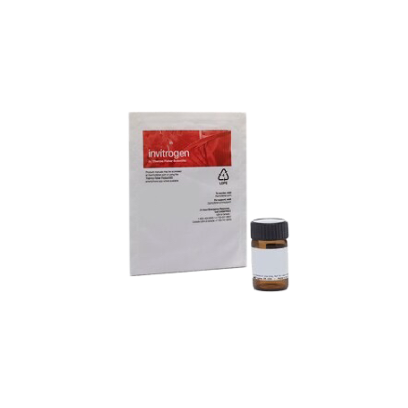 D3911，DIL 染色剂，25mg