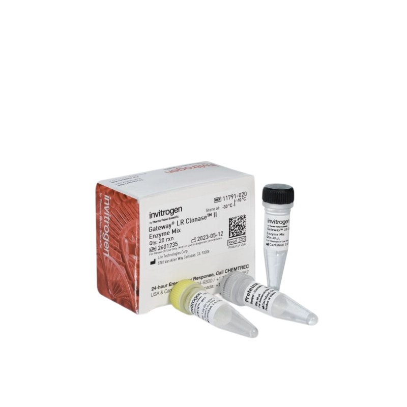 11791020，Gateway? LR Clonase? II 酶混合物，invitrogen
