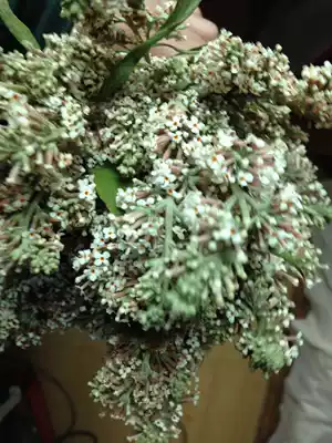 Guizhou Xingyi specialty flower rice Mime flower yellow rice yellow rice flower glutinous rice making dye (yellow) 120g