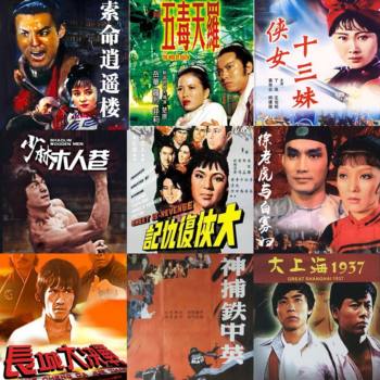 9 Action Martial Arts Movies: the Thirteen Sisters of Martial Arts, the Deadly Paradise, the Five Poison Palaces, Etc. Dvd Discs