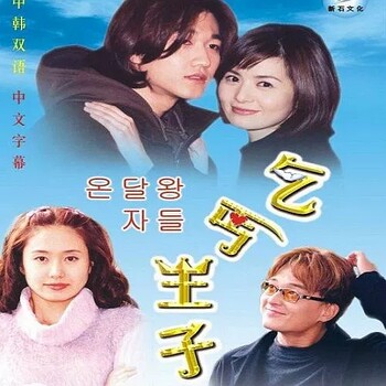 Korean Classic Family Drama Beggar Prince Dvd Disc Zhang Ruixi 80 Episodes Korean and Chinese Bilingual 3 Discs