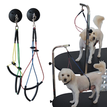 Pet beauty table sling bath Bolt cat pile dog pile cat fixed control beauty table traction suction cup Baoding rope