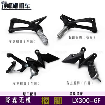 Original Spare Parts for Footrest Lx300-6F and Auxiliary Footrest Lx300Gs-B/D for Wuzhi 300R300Rr