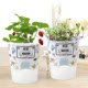 Small flower farmer children planting potted mini green plants germination and growth observation canned seeds kindergarten blind box cup