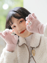 Day Department Rosex gloves womens ins cute plus suede warm windproof anti-chill touch screen riding Korean version autumn and winter