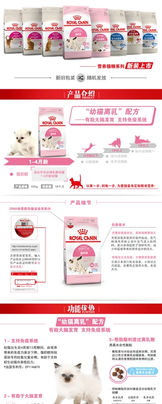 Thức ăn cho mèo Royal kitten cho mèo BK34 thức ăn chủ yếu cho mèo từ tháng 1 đến tháng 4 bánh sữa cho mèo thức ăn cho thú cưng 10kg thức ăn khô cho mèo - Cat Staples