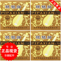Popularize Pipa string Beijing Xinghai Gospel Pipa string