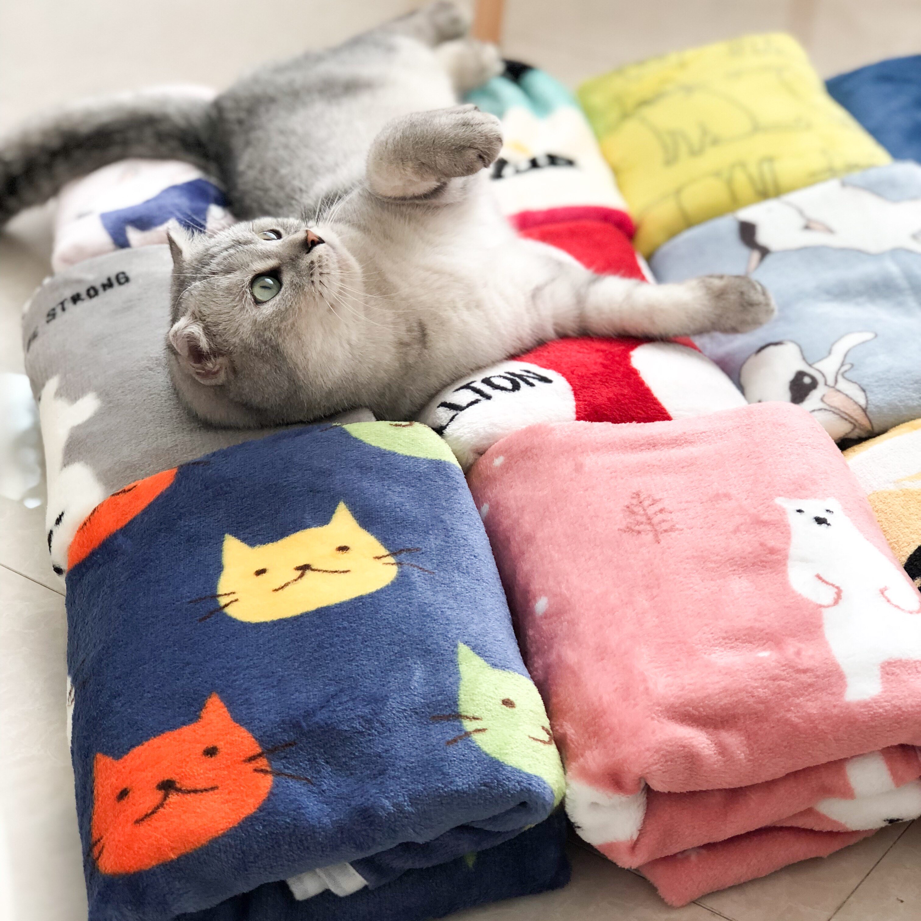 Cute Pet Blanket Autumn Winter Mat Dog Quilt Cover Blanket Cartoon All Season Universal Plush Cushion Wrap Blanket Kitty