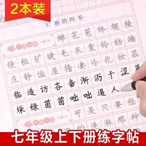 Junior high school students seventh grade 7 7 first and second volume Chinese Peoples Education Edition synchronous copybook regular script Pen copying Red copybook