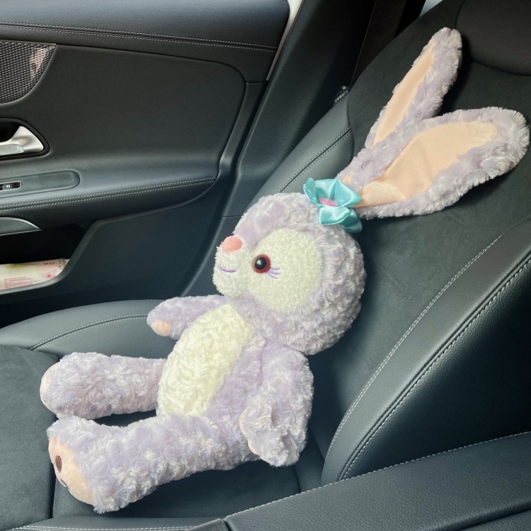 Bamboo Charcoal Bag Car Except Formaldehyde New Car To Taint Active Carbon Cute Rabbit Car Carbon Pack To Taste Special Pendulum