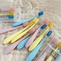 Small basin friends ~ super easy to use macaron color three toothbrushes