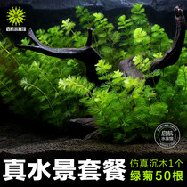 Fish Tank Decoration Building View Package Simulation Sinkwood Fake Mountain Fish Tank Real Water Grass Package Aquarium Cloth View Items Hem