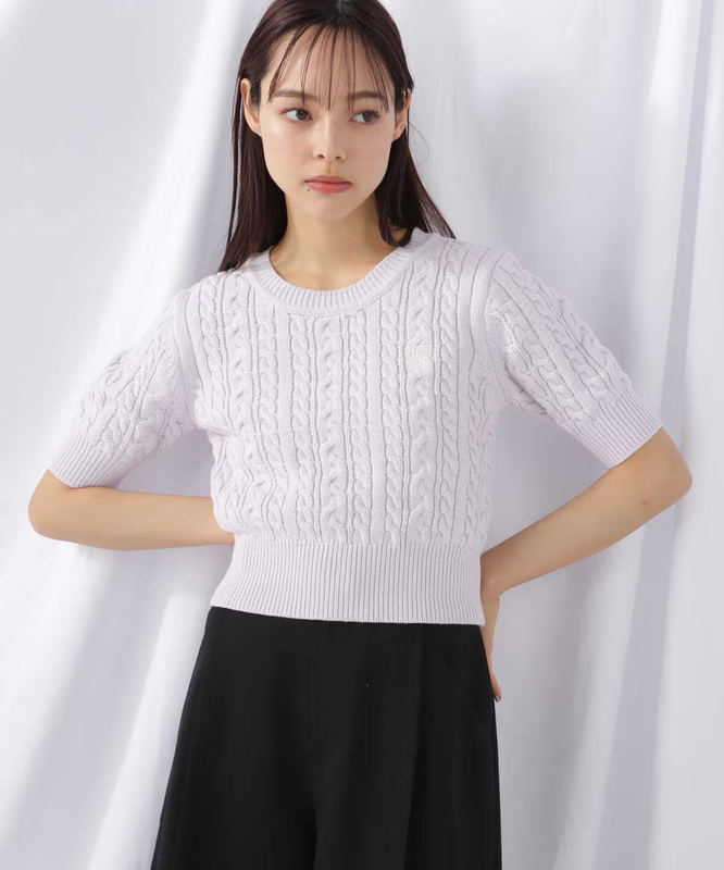 Clearance Sale at a Loss: Japanese Style Spring/Autumn Cable Knit, Twisted Pattern, Round Neck, Short Sleeve, Embroidered, Short Knit Top