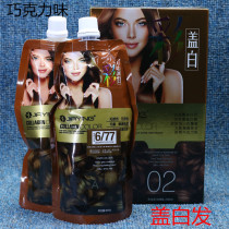 Chocolate Dyeing Cream Hair Salon Large Box Color Oil Wholesale Color Cover White Double Hair Dye without ammonia Dull Cyan Batik