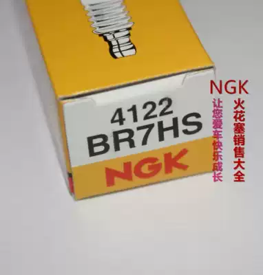 NGK Spark Plug BR7HS is suitable for two-rush lifeboat Mountain leaf off-ship machine yacht Speedboat boat boat stern Di