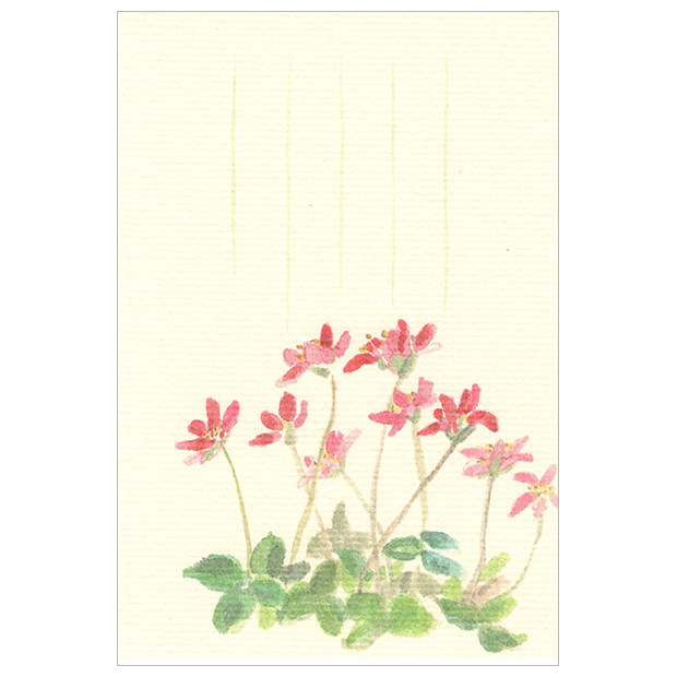 Japanese watercolor painting seasonal and paper postcard Spring triangle grass 1 piece