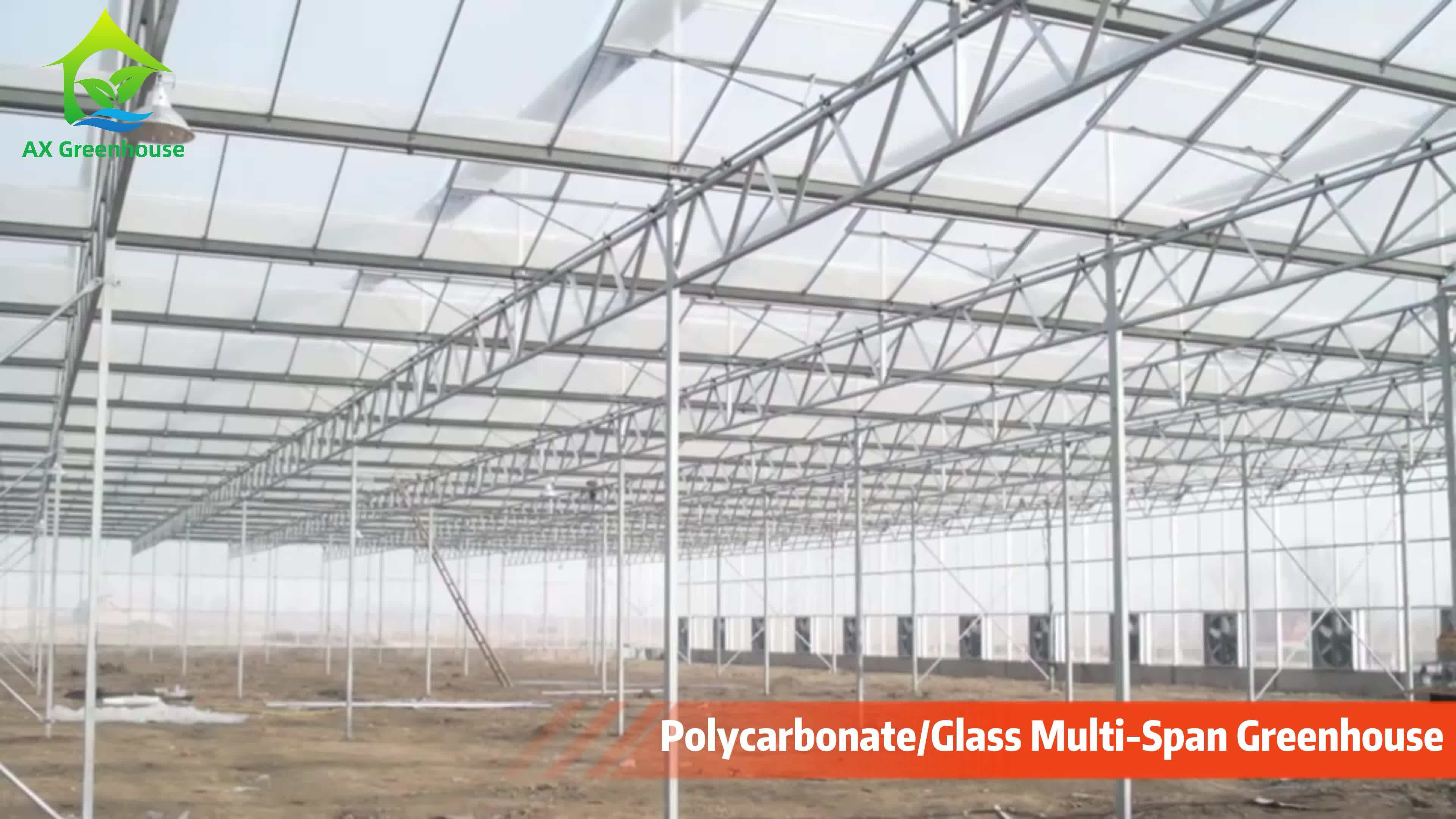 Modern Venlo Polycarbonate Glass Farming Greenhouse Multispan Commercial Pc Sheet Greenhouses