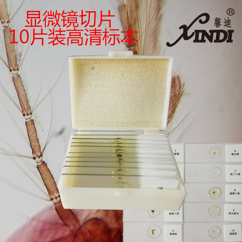 Shanghai Xindy New Pine Quality HD Recommended Biological Microscopy 10 Coated Insect Specimen Laboratory Slice