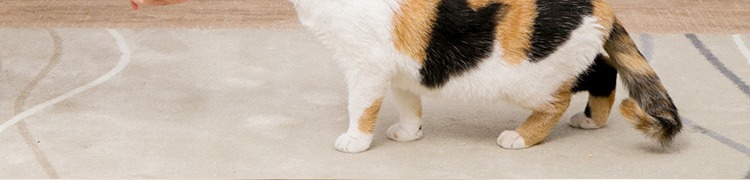 Alice IRIS món ăn ngon từ mèo dinh dưỡng ăn nhẹ vào mèo con có thể làm tăng chất béo đồ ăn nhẹ cho mèo đóng hộp 4 - Đồ ăn nhẹ cho mèo catsrang