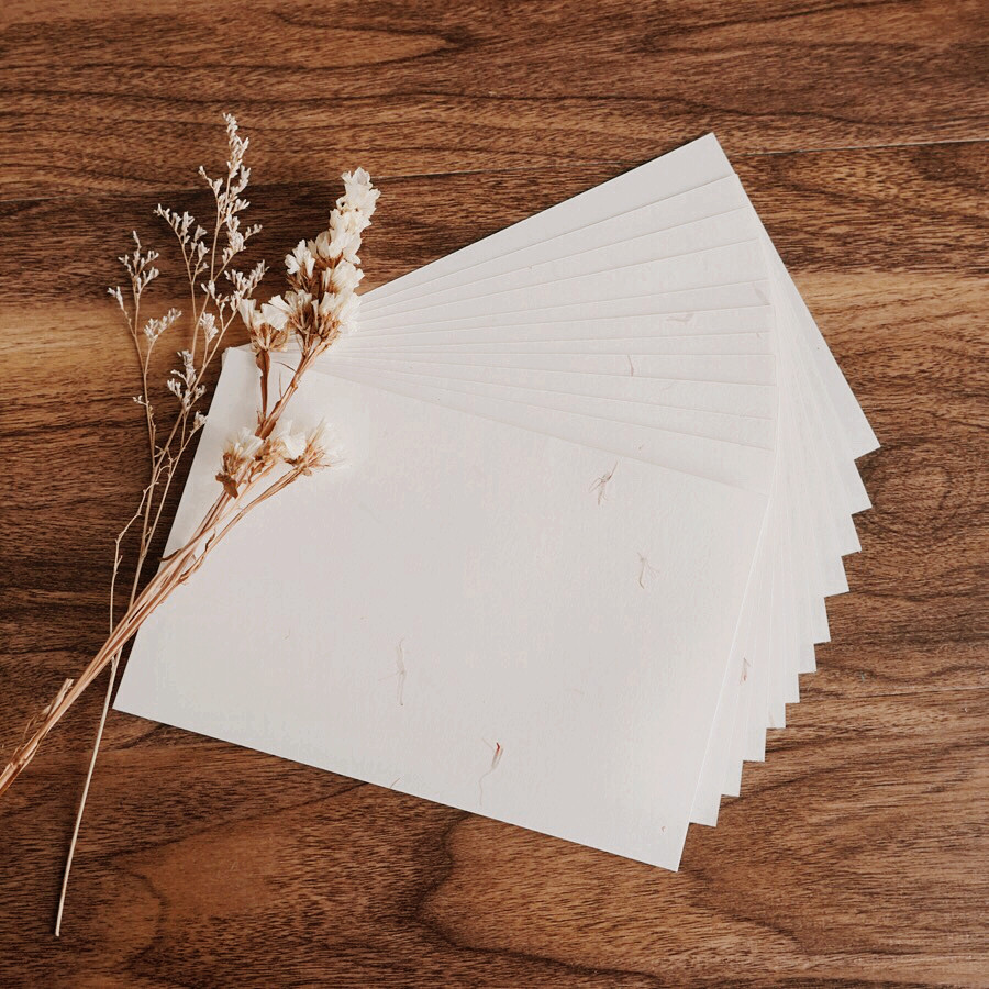 (Floras) Knot Clothing English Calligraphy Letter Writing Paper Exercise Paper Practicing Paper Postcard A4 PAPER JAM