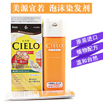 Japanese original clothing imported hoyu Meiyuan CIELO Xuanif hair dyeing hair Moise cover white hair foam hair dye