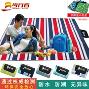 Picnic mat ẩm pad dày thảm cỏ ngoài trời dã ngoại vải du lịch mùa xuân di động không thấm nước đi dã ngoại mat - Thảm chống ẩm / Mat / Gối