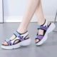 Y210 Blue