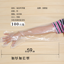 Extended and thick disposable gloves food grade PE film tpe gloves PVC transparent plastic latex kitchen