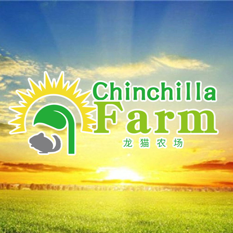 龙猫农场Chinchilla Farm