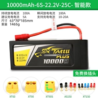Ace Ge 6s-10000mah 25c Smart