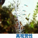 亚峰 Матовый пластиковый воздушный насос с аксессуарами из ПВХ