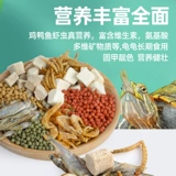 Зерновая черепаха кормить бразильские черепахи черепахи коричне