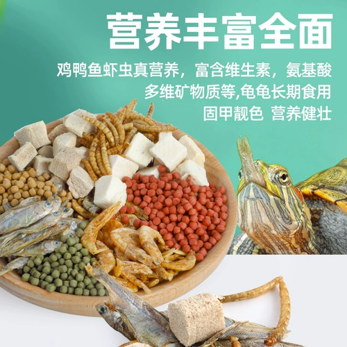 Зерновая черепаха кормить бразильские черепахи черепахи коричне