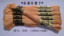 Cross stitch * embroidery thread * wiring * mending thread * cotton thread * R thread * No. 3856 * 1 piece (about 8 meters long) retail sale