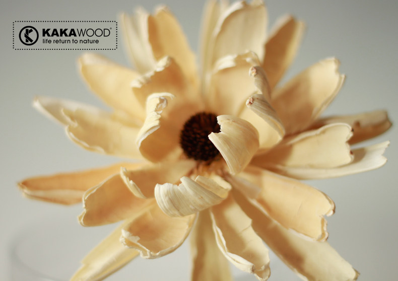 kkw�Ҿ�װ�� ��Ȼ ֲ��ɻ�