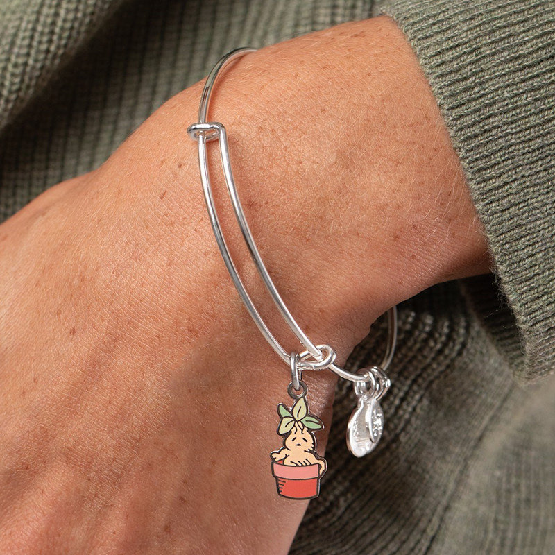 American Harry Potter surrounding genuine ALEX AND ANI joint Mandrake pendant bracelet