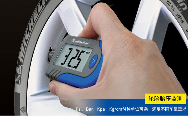 Xie Shijie 1700803-мичелин давление плода 4338 мл Описание Оптимизация_02.