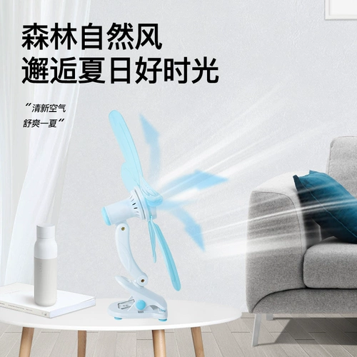 Летняя студенческая общежитие маленькие стили