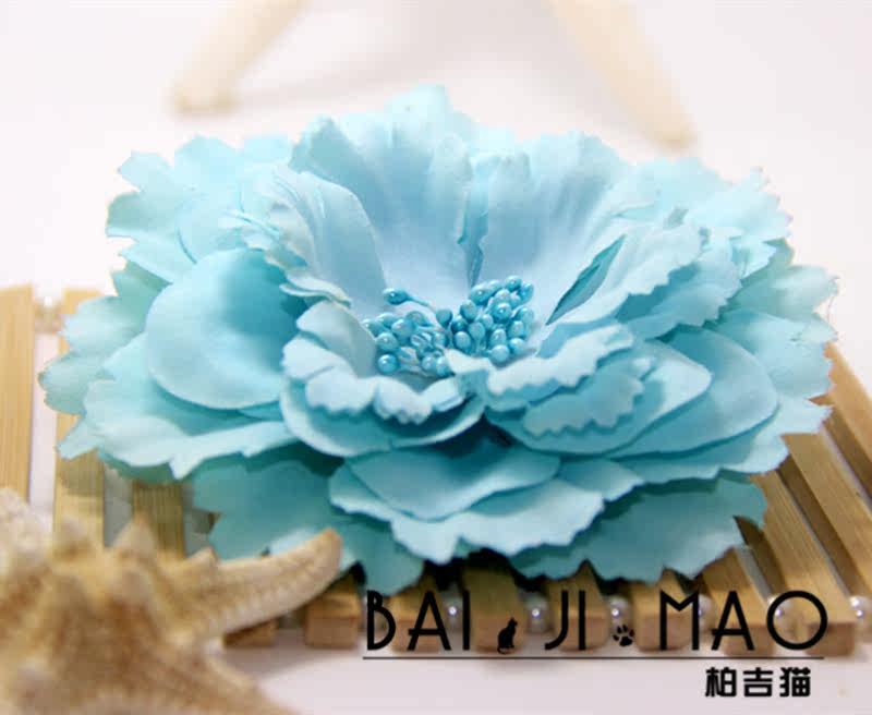 Accessoire coiffure en autre - Ref 1202506 Image 16