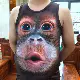 Funny Gorilla 3d Creative Doodle Monkey Sweat Vest XL XL Áo ba lỗ họa tiết động vật ao ba lo