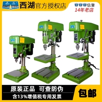 Hangzhou Xihu Bench Drill Z512-2 Z516 Z512B Z4116 Z4120 Z4025 Heavy Duty Drilling Machine