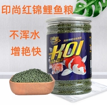 Shanghai red carp feed koi goldfish food spiraling algae into brighter fish koi colour