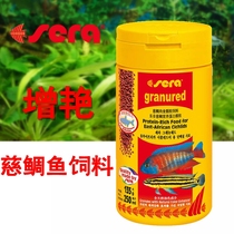 Shiri Meat Feed Increased Fish Food Switch Knife Crown Six Burundi Watching Fish Fish Food