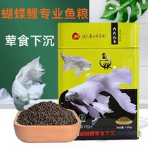 A pint of red Jiuding to play the main butterfly carp with a large seven fin butterfly carp and a sinking fish food high protein fish feed