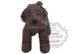 Full 68 Mô hình giấy thủ công 3D DIY động vật nhỏ thú cưng nhỏ cuộn dài hyena với mô tả giấy mô hình giấy anime chibi	 Mô hình giấy